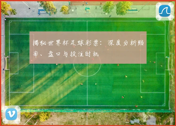 揭秘世界杯足球彩票：深度分析赔率、盘口与投注时机