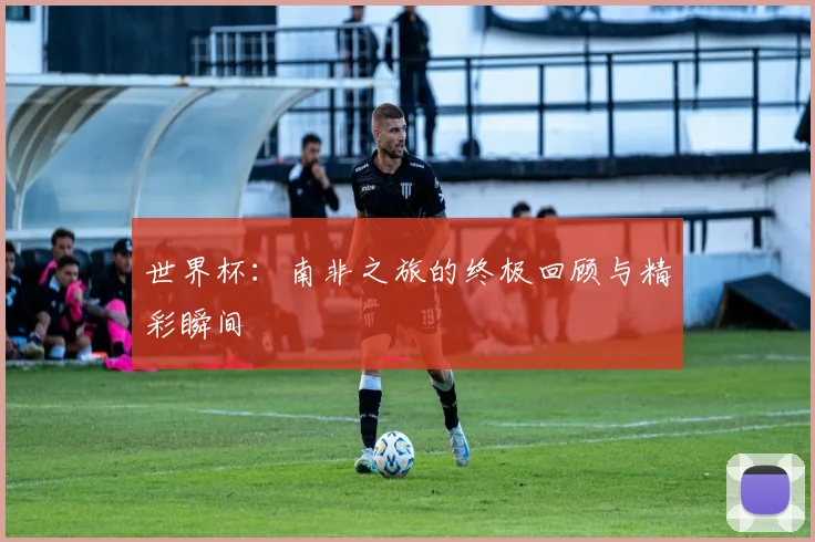 世界杯：南非之旅的终极回顾与精彩瞬间